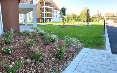 Paysagiste à Obernai : conception et création de jardins et d’espaces verts